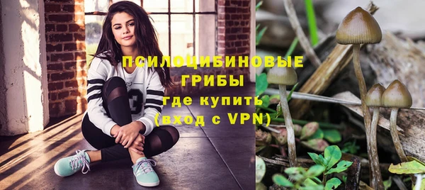 соль ск Михайловск